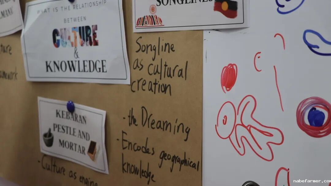 漢鼎事｜思維之光：漢鼎書院十三年級TOK展覽引領探索知識之旅