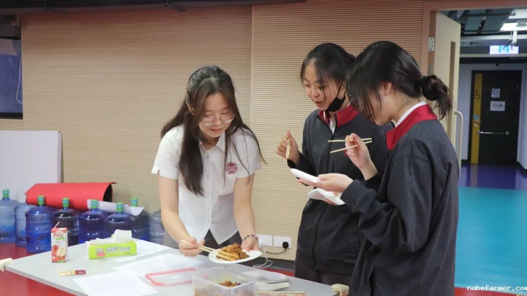 漢鼎事｜思維之光：漢鼎書院十三年級TOK展覽引領探索知識之旅