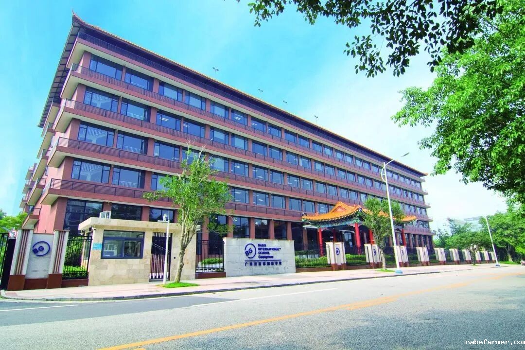 贝赛思“威胁”家长签续读协议，否则退学？到底咋回事？
