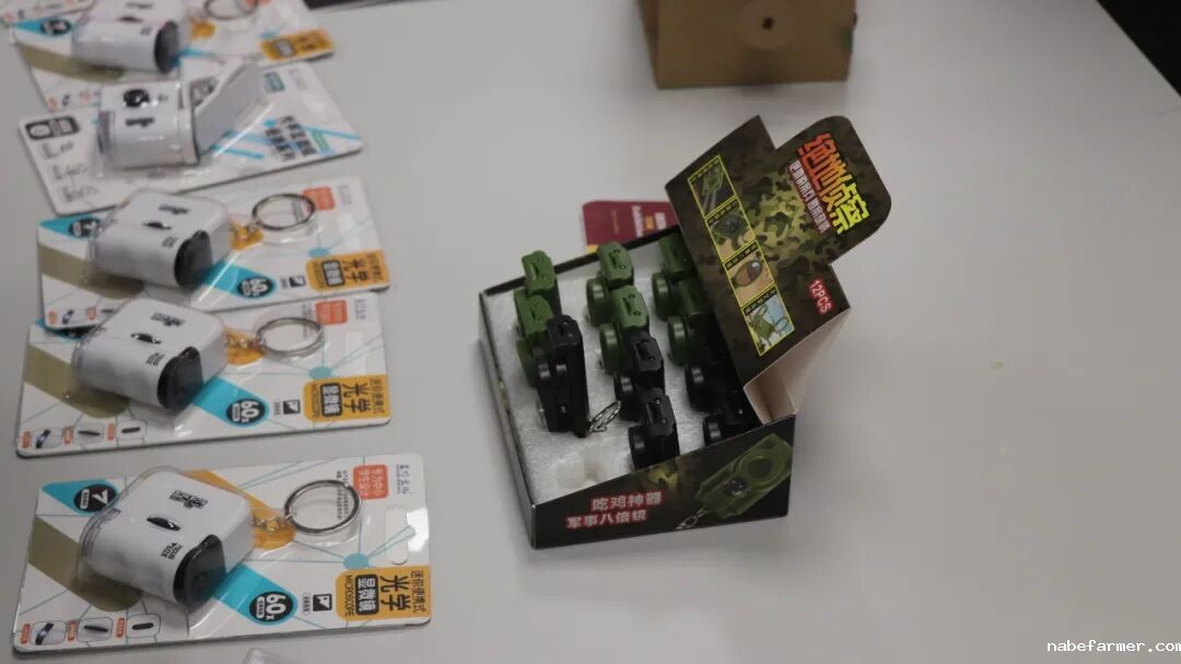 漢鼎事｜思維之光：漢鼎書院十三年級TOK展覽引領探索知識之旅