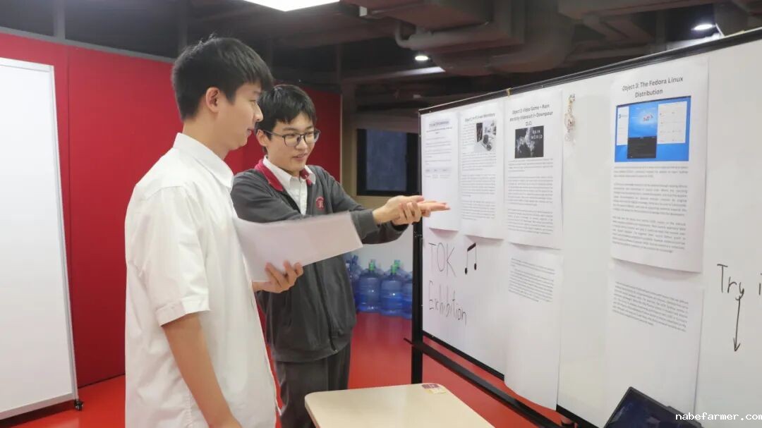 漢鼎事｜思維之光：漢鼎書院十三年級TOK展覽引領探索知識之旅