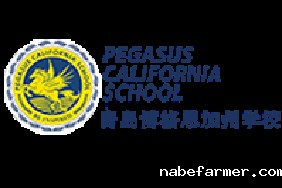 青岛博格思加州学校