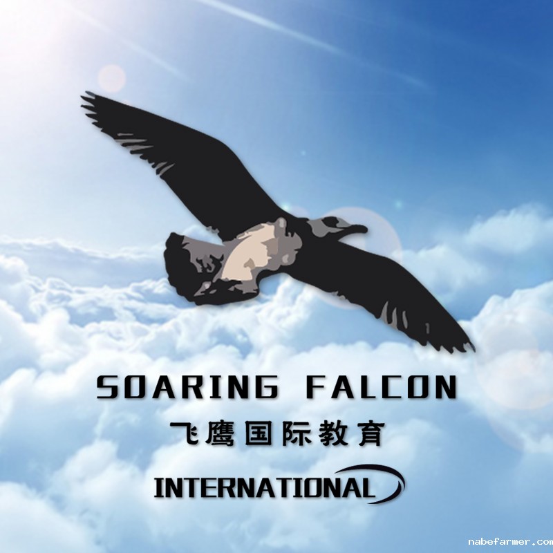 飞鹰留学