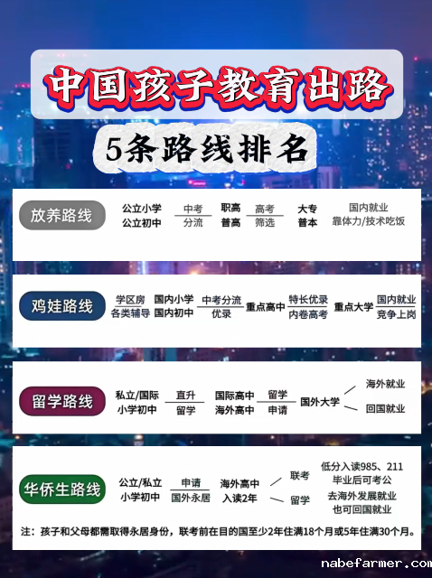 中国孩子的五条教育出路！