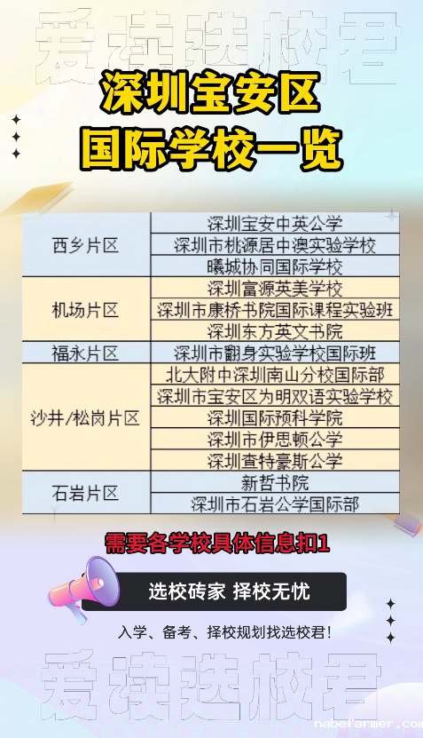 深圳国际学校（宝安区）基本信息一览