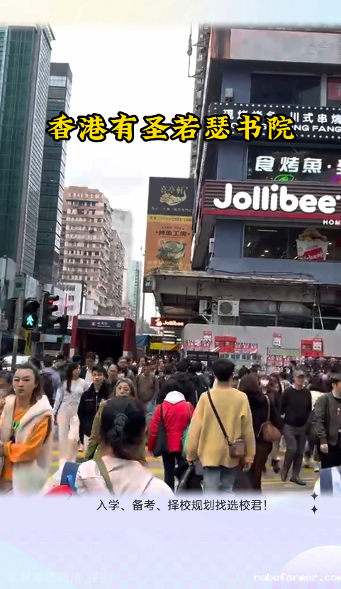香港一条龙学校才是升学的香饽饽？